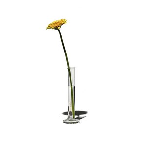 푸에브코 PUEBCO SINGLE FLOWER VASE 50ml 한송이 빈티지 유리 화병