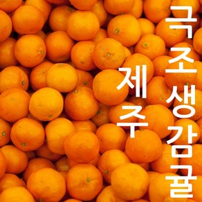 제주 극조생감귤 국내산 감귤 국산 귤 겨울대표과일 감귤, 1박스, 소과(2S) 1kg