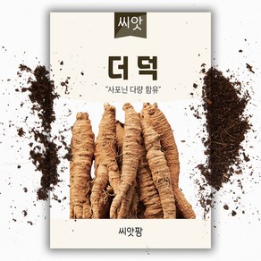 더덕씨앗 (1500립) 약용씨앗, 1개