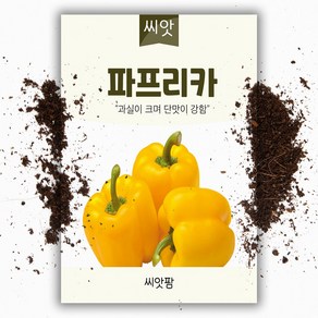 노랑 파프리카 씨앗 (10립), 1개