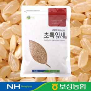 보성농협 국산 현미 1kg 2024년산, 1개