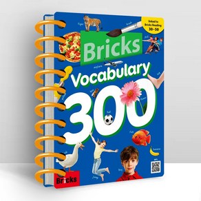브릭스 보카 300 Bicks Vocabulay 스프링분철