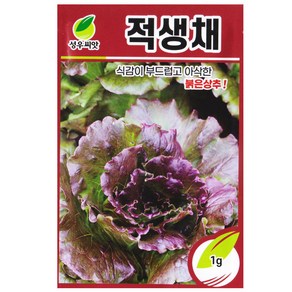 성우 적생채 씨앗 1g 아삭이 상추 종자 생채씨 키우기, 1개