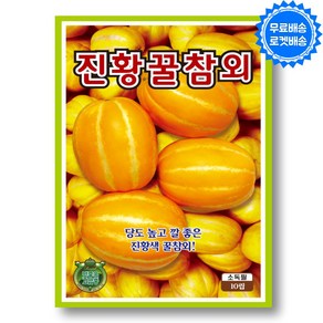 참외씨앗 (10립) 참외 씨 과일 씨앗 종자 과채류, 1개