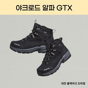 블랙야크 대표 가죽등산화 야크로드 알파 GTX ABYSHX3921