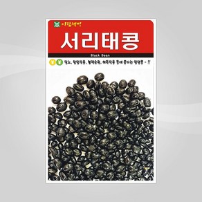 슬로시 열매 씨앗 종자 고추 가지 토마토 완두콩 녹두, 1개