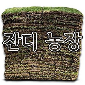 한국잔디 롤잔디 100장(약 7평) 장성농장 저렴한 잔디/차량착불/운반거리에 따라 운반비의 차이가 있을 수 있습니다