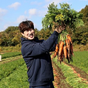 자연에서바로 주스용 못난이 당근 국내산 흙당근, 못난이 당근 5kg, 1개