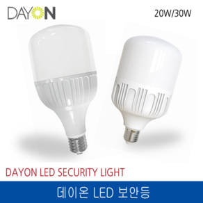 데이온 LED 보안등 주광색 30W E26 220V, 1개