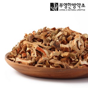 부영한방약초 모과 600g, 1개