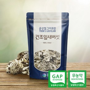 윤상철 건조잎새버섯 100g 무농약 GAP 국내산, 1개