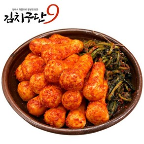 김치구단 김치구단 국내산 100% 총각김치 2kg 3kg 5kg 10kg, 1개