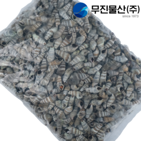 무진물산 냉동 자숙 바다 다슬기 갯고동 1kg, 1개