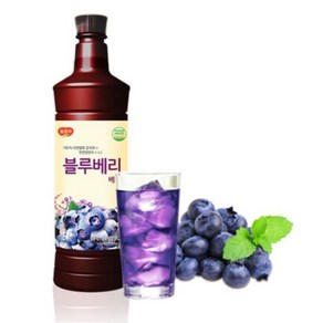 광야식품 블루베리 베이스 970ml, 2개