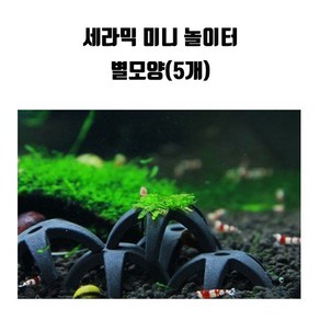 신바람 세라믹 새우 놀이터 산란상 은신처 불가사리모양 5p