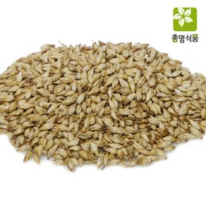 국내산 맥아(대맥), 600g, 1개