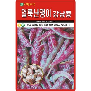 아람종묘 얼룩난쟁이 강낭콩 씨앗 30g, 1개