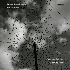 핫트랙스 HILDEGARD VON BINGEN - ORDO VIRTUTUM/ ENSEMBLE BELCANTO DIETBURG SPOHR [힐데가르트 폰 빙엔: 오르도 비르투툼(성덕의 열) - 앙상블 벨칸토]