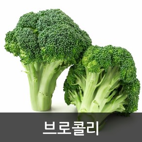 약수농장 국내산 브로콜리 4kg 8kg, 1박스, 브로콜리8kg