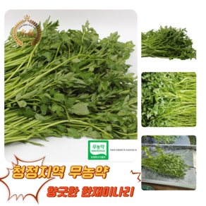 [굿피플] 한재미나리 청도미나리 무농약미나리 돌미나리 국내산미나리 미나리 청도 한재미나리 [한재미나리], 1박스, 1kg