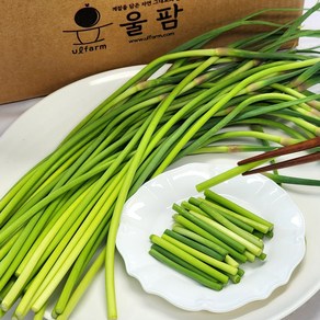 [울팜] 부드러운 제철 국내산 햇 마늘쫑 마늘종, 1개, 500g