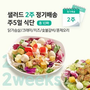 샐러드 2주 정기배송 주5일 (닭+크래미+치즈+숯불+훈제오리), 240g, 10개