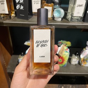 러쉬 브레스 오브 갓 퍼퓸 향수 100ml, 1개