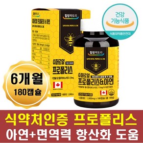 청정 캐나다 프로폴리스 플러스 아연 1000 mg 360캡슐 대용량 12개월 1년 일년 폴리 플로 폴리스 건강 기능 식품 항산화 폴로폴리스 면역 프롤포리스 노인 구강 영양제 향균, 180정, 2개