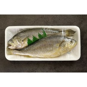 손질 부세조기 350g, 1개