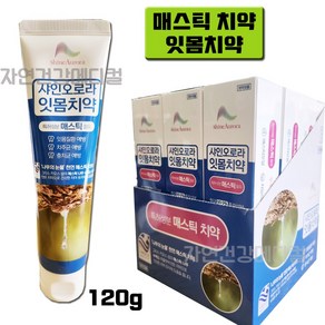 샤인오로라치약 잇몸 매스틱치약 120g 1개