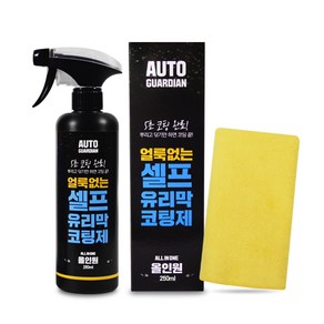 오토가디언 얼룩없는 셀프 유리막코팅제 250ml