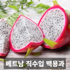 프리미엄 베트남 직수입 백용과 흰용과 2.5kg 5kg, 1개, 백용과 5-6입 (2.5kg)