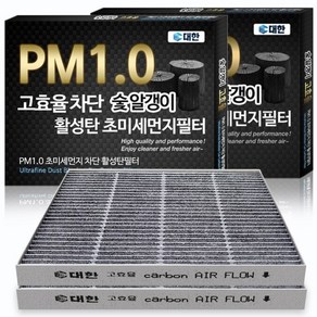 대한카필터 PM1.0 활성탄 에어컨필터, KC099, 2개