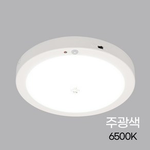 원형 LED 센서등 포인트 15W 주광, 1개