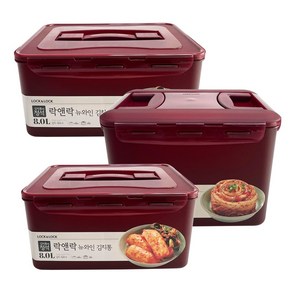 락앤락 플라스틱 직사각 원핸들 김치통 HPL890WN, 5L, 2개