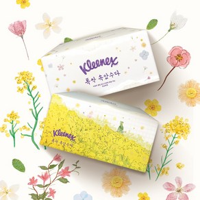 크리넥스 x폭싹 속았수다 보습에센스로션 넷플릭스 콜라보 에디션 110매x12입+스티커&작품포토카드랜덤