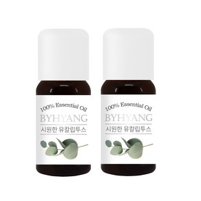 바이향 에센셜 오일 10ml x 2p, 시원한 유칼립투스, 2개