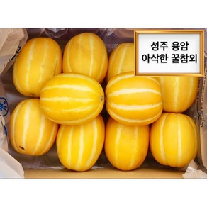 <가람> 성주 꿀 용암 참외 아삭한 햇 참외, 1박스, 3kg 꼬마참외
