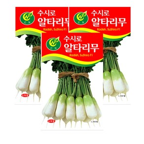 모두다 채소씨앗 수시로알타리무씨앗(1500립), 3개