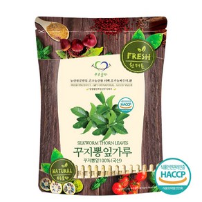 푸른들판 국내산 꾸지뽕 잎 분말 가루 100% HACCP 인증 국산 꾸찌뽕 꾸찌뽕 구찌뽕 나무 잎 차