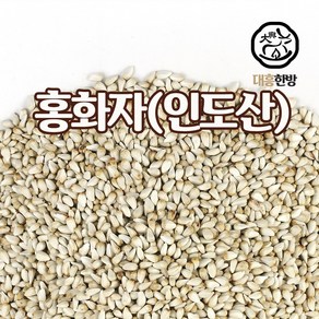 대흥한방 홍화자 300g 인도산, 1개