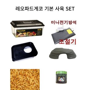 레오파드게코 고퀄 랜덤모프, 사육 기본 SET, 1개