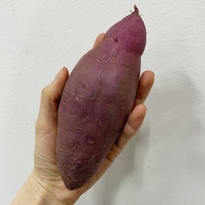 세척된 특상 고구마 당도선별(잘생기고 이쁜 것들만 보냄), 500g, 1개