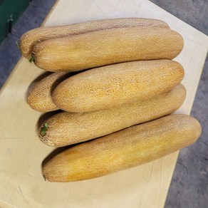 국내산 노각오이, 1박스, 5kg