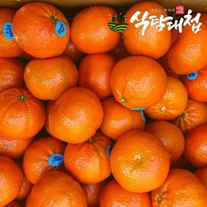 [식탐대첩] 미국 만다린 감귤 오렌지 2kg, 1개