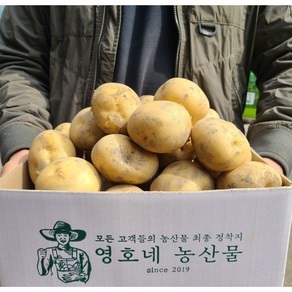 2021년 수확한 맛있는 하우스 햇감자 수미감자 타박감자, 중사이즈(조림/통구이용), 3kg, 1개