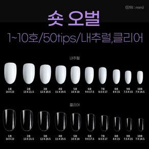 네일아트판 리필팁 숏오벌 네일팁 50tips