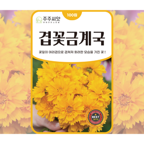 [주주씨앗] 겹꽃금계국 씨앗 100립 봄 가을 파종 오래피는 다년생 꽃씨 야생화 종자 씨 노지월동, 1개