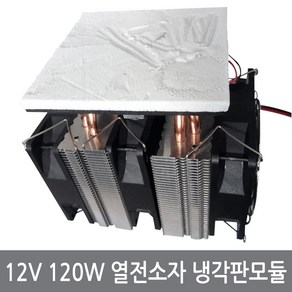 12V 120W 열전소자 냉각판 펠티어 냉기 냉각 모듈, 12V120W상부냉각판모듈, 1개