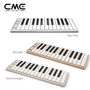 CME XKEY-25, 실버, 1개